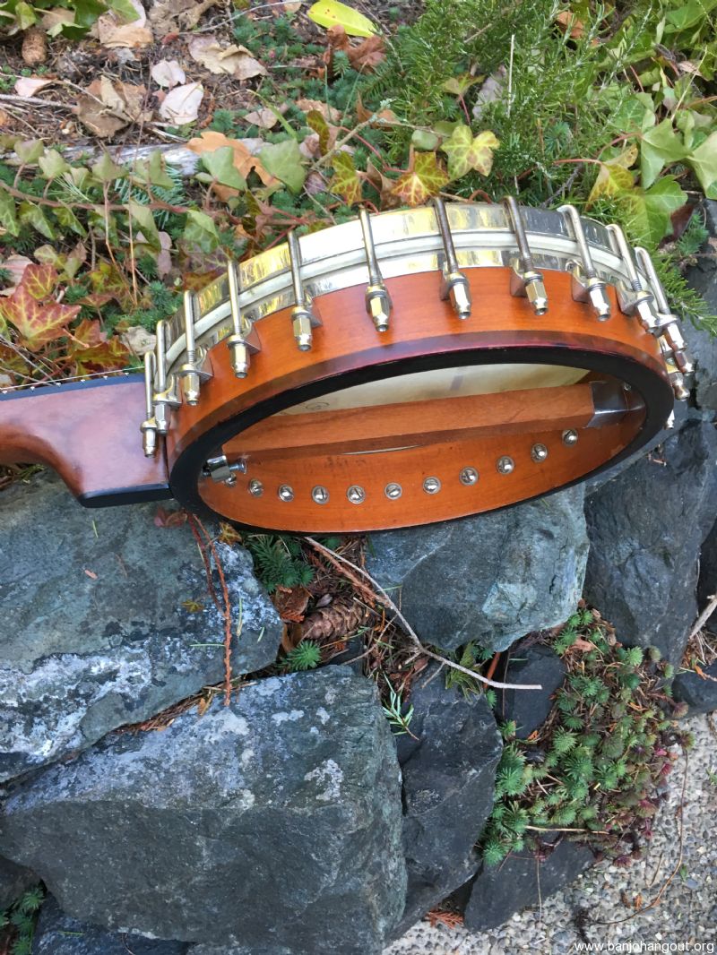 vega banjo serial numbers